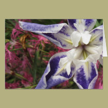 Iris opening cards