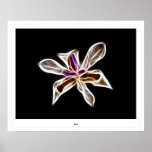 Iris Poster