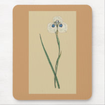 Iris pavonia mousepads by LisasLair Iris pavonia mousepads