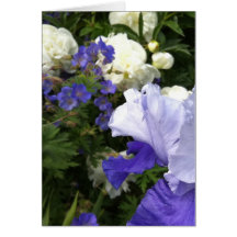 Iris, Peonies and Cranesbill Note Card