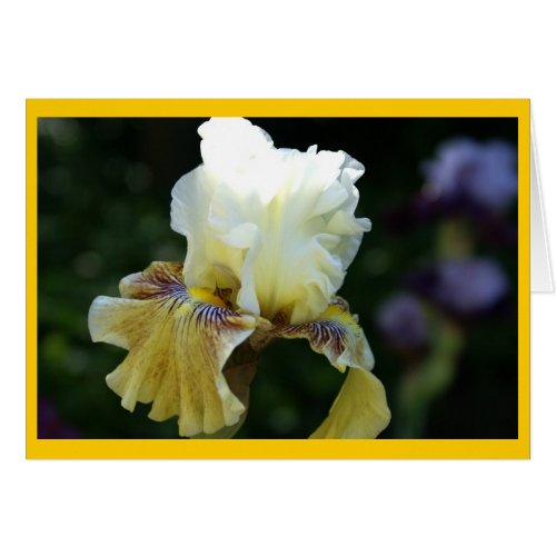 Iris Perfection card