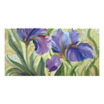 IRIS photo cards
