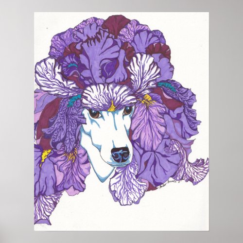 Iris Poodle Print