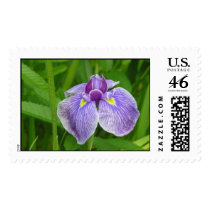 Iris  postage