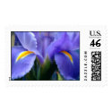 Iris postage by louwhoz Iris postage