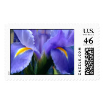 Iris stamps