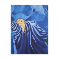 Iris Postcard