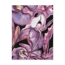 IRIS postcards by whittyart IRIS postcards