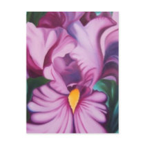 iris postcards