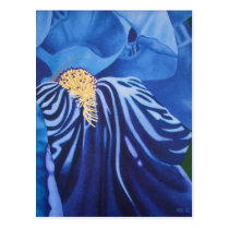 Iris Postcard postcards