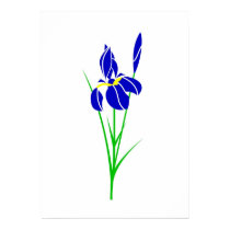 Iris posters