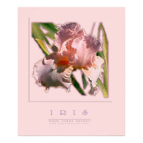 IRIS posters
