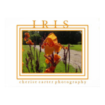 Iris posters by AeonMX Iris posters