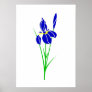 Iris Poster