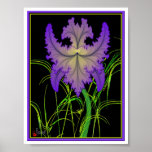 Iris posters