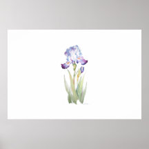 Iris Poster