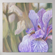 Iris Poster
