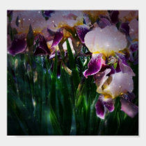 Iris Print posters