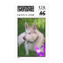 Iris Puppy postage by buzzcrone Iris Puppy postage