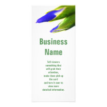 Iris, Rack Card rack cards