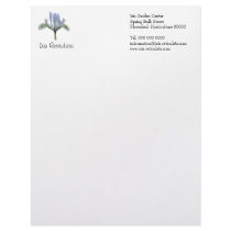 Iris reticulata garden business letterhead