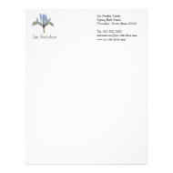 Iris reticulata garden business letterhead