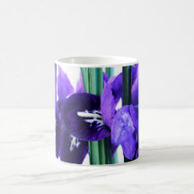 Iris Reticulata Mug