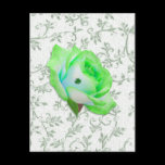 Iris Rose and Shamrock!