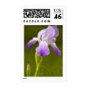 Iris, RSVP postage