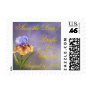 Iris Save the Date!