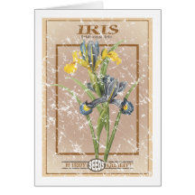 Iris seed packet - distressed cards