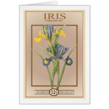 iris seed packet greeting card
