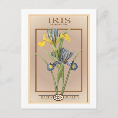 iris seed packet post cards