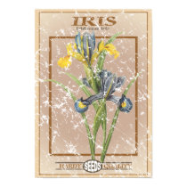 Iris seed packet posters by vintageurban Iris seed packet posters