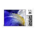 Iris Singing the Blues Postage Stamp