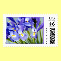 Iris "Spring" Photo stamps