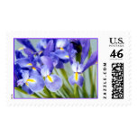 Iris "Spring" Photo stamps