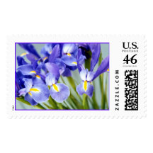 Iris "Spring" Photo Postage Stamps