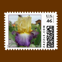 IRIS STAMP - "Bold Move" stamps