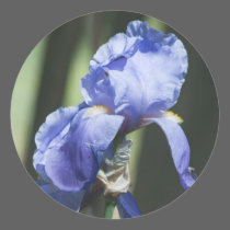 iris stickers