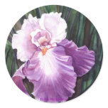 Iris stickers