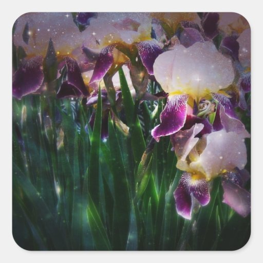 Iris Stickers