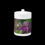 Iris Teapot teapots