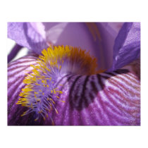 Iris' Tongue Print by sruhs Iris' Tongue Print