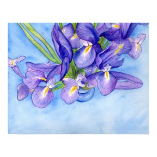 Iris Vase Watercolor Painting Art Poster Print print