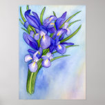 Iris Vase Watercolor Painting Art Poster Print posters