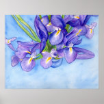 Iris Vase Watercolor Painting Art Poster Print posters