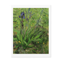 Iris, Vincent van Gogh Postcards