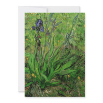 Iris Vincent van Gogh Vintage Post Impressionism Invites