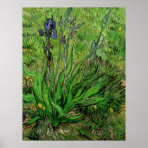 Iris Vincent van Gogh Vintage Post Impressionism Posters